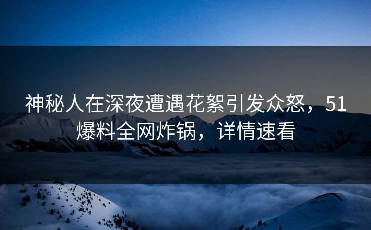 神秘人在深夜遭遇花絮引发众怒，51爆料全网炸锅，详情速看